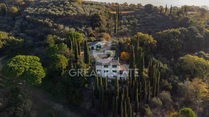 Image No.4-6 Bed Country House for sale