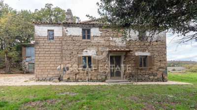 Photo_4