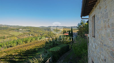 Photo_8