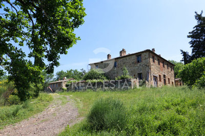 Photo_11
