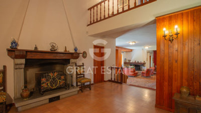 Photo_5