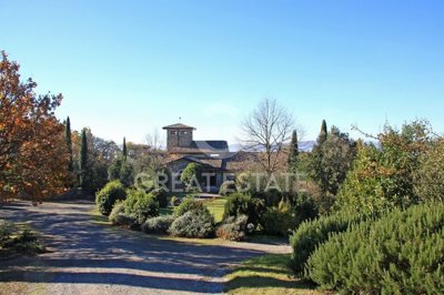 Photo_3