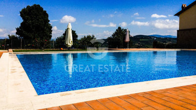 Photo_4