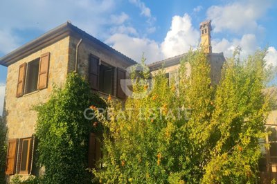 Photo_4
