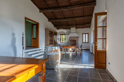 Photo_5