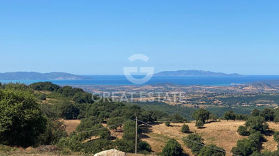 Photo_2