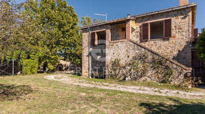 Photo_4