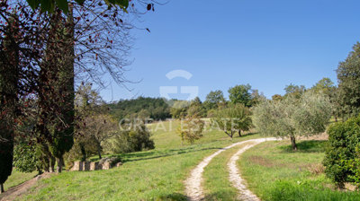 Photo_11