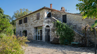 Photo_4