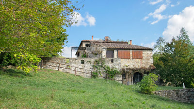 Photo_8