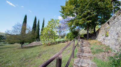 Photo_9