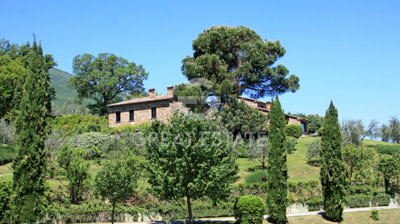 Photo_4