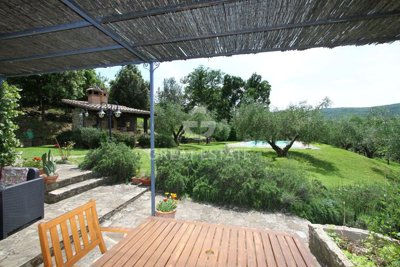 Photo_15