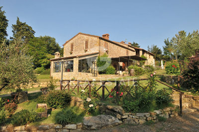 Photo_3