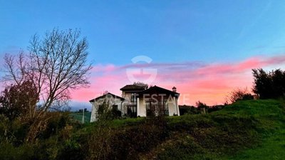 Photo_12