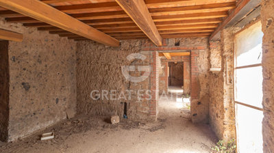 Photo_5