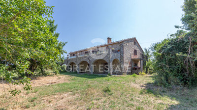 Photo_3