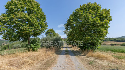 Photo_9