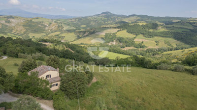 Photo_3