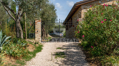 Photo_3