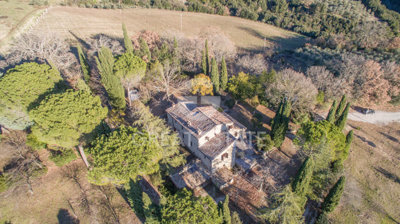 Photo_4