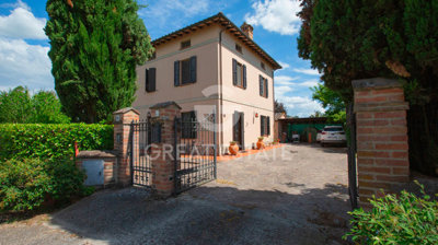 Photo_3