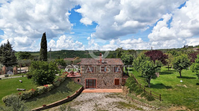 Photo_7