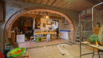Photo_15