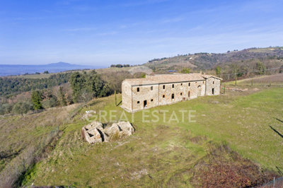 Photo_3