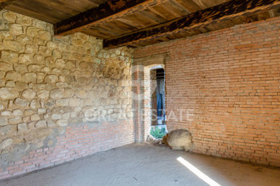 Photo_6