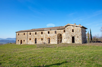Photo_9
