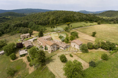 Photo_4