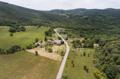 Photo_7