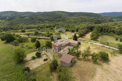 Photo_8
