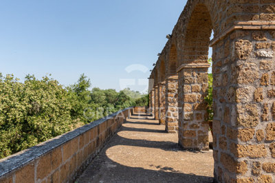Photo_14