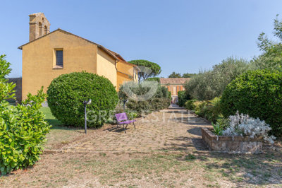 Photo_7