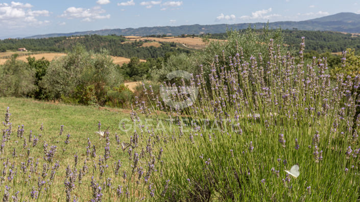 Image No.30-4 Bed Country House for sale