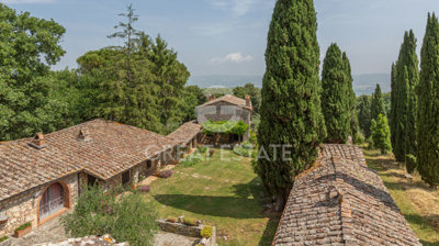 Photo_3