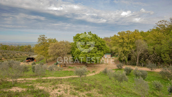Image No.12-5 Bed Country House for sale