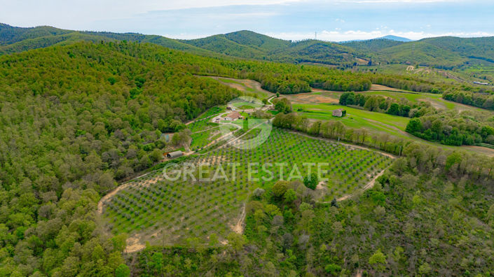 Image No.14-5 Bed Country House for sale