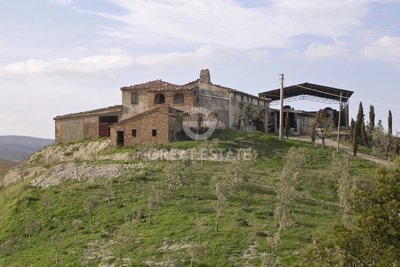 Photo_2