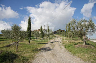 Photo_9