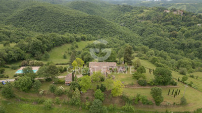 Photo_4