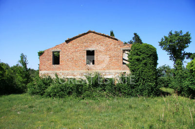 Photo_2