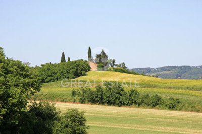 Photo_3