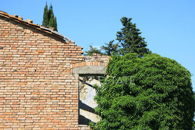 Photo_4