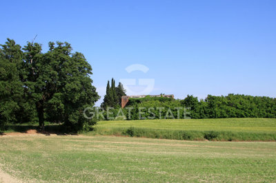 Photo_7