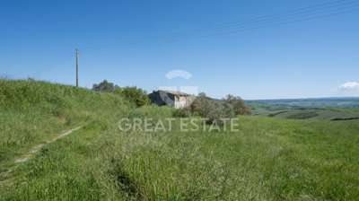 Photo_3