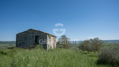 Photo_4