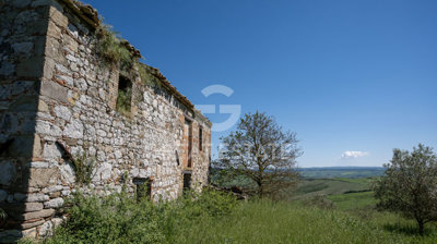 Photo_9
